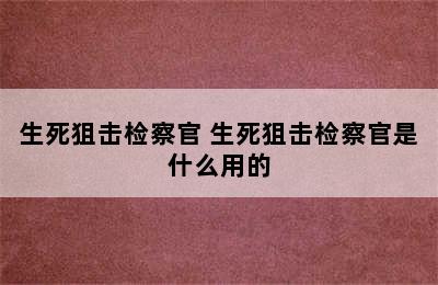 生死狙击检察官 生死狙击检察官是什么用的